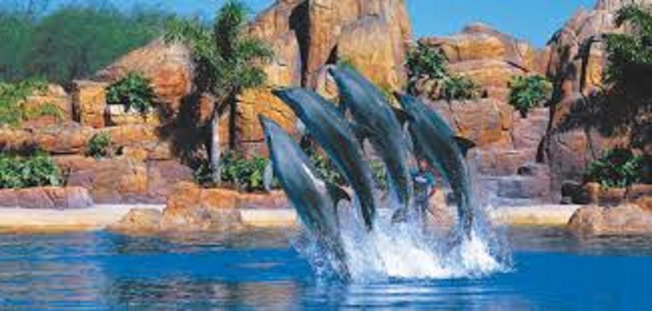 Gold Coast Theme Park Family Villa Extérieur photo